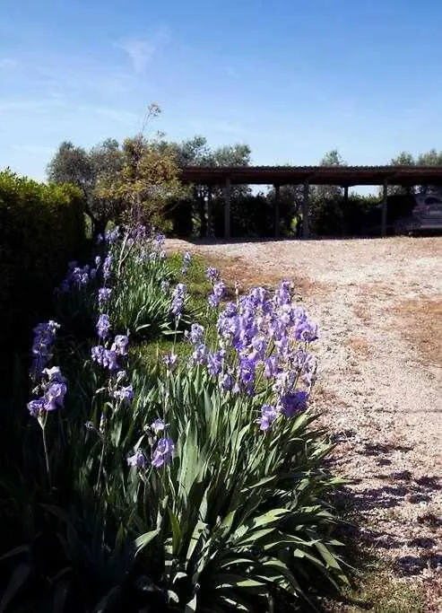 Farm stay Agriturismo Podere Santa Virginia Albinia